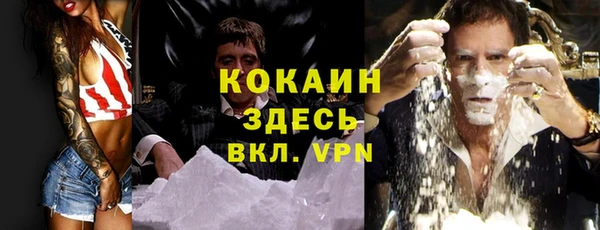 амф Алзамай