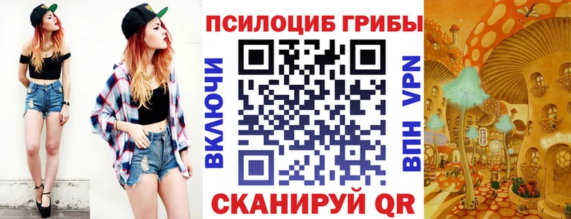 Псилоцибиновые грибы прущие грибы  blacksprut онион  Бодайбо 